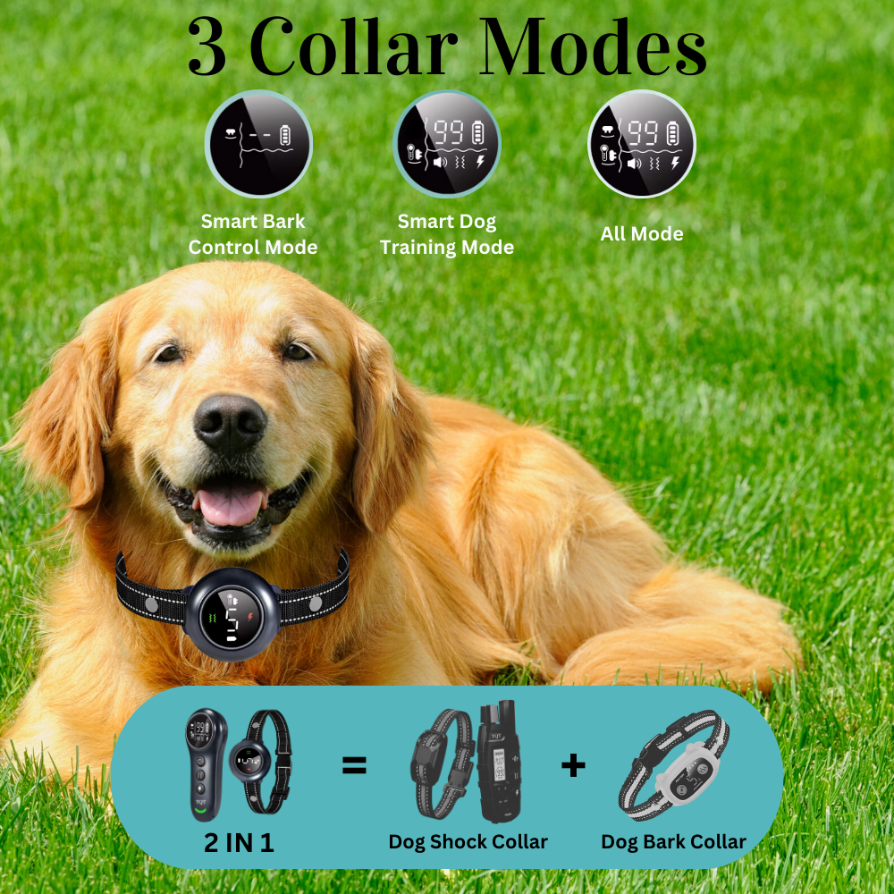 TQT 2-in-1 Dog Shock Collar & Dog Bark Collar - Smart Anti Barking Dog Training Collar with 5 Adjustable Sensitivity & 3300FT Remote for All Breeds