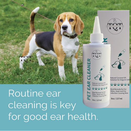 TQT Dog Ear Cleaner – Pet Ear Wash to Support Itchy, Infection Prone Ears, Yeast and Wax.